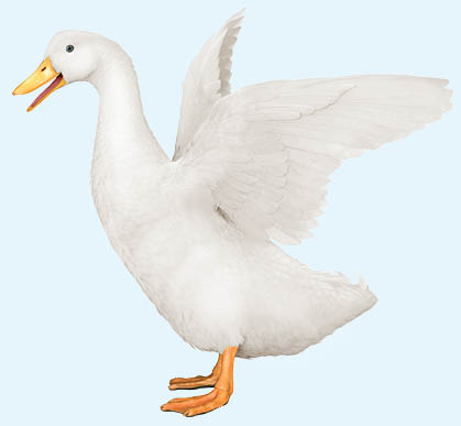 05 436109-3_photo_proposal2.jpg