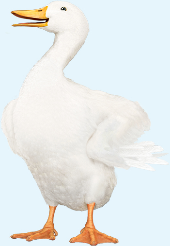 05 436109-3_photo-proposal_3.jpg