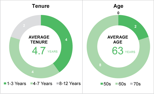 [MISSING IMAGE: tm2222116d1-pc_diversitypn.jpg]
