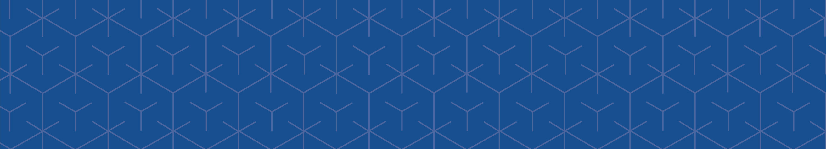 [MISSING IMAGE: bn_bend-pn.jpg]