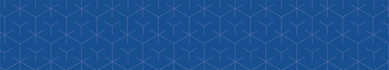 [MISSING IMAGE: bn_bend-pn.jpg]