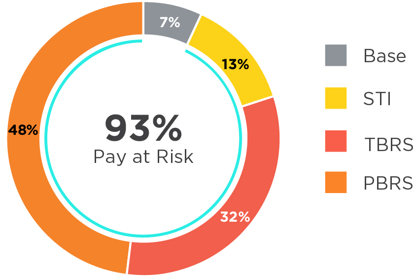 03_427760-1_piechart_pay mix_CEO.jpg