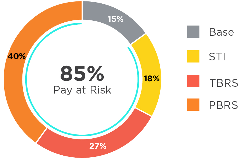 03_427760-1_piechart_pay mix_current NEOs.jpg