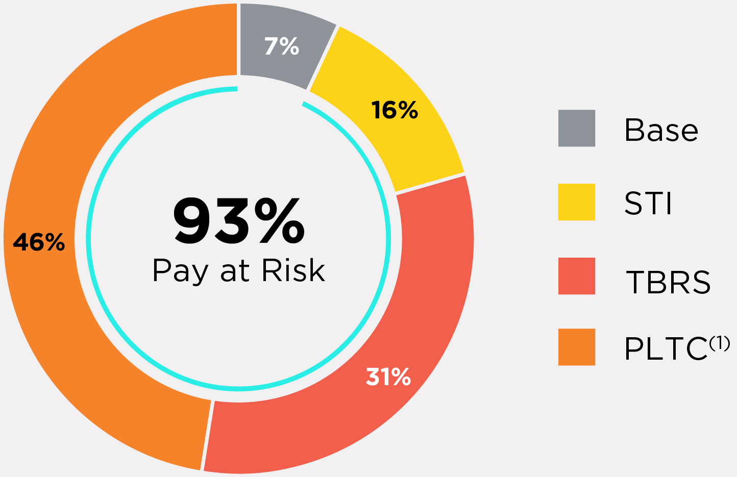 03 PRO013611_pie_pay mix copy_CEO.jpg