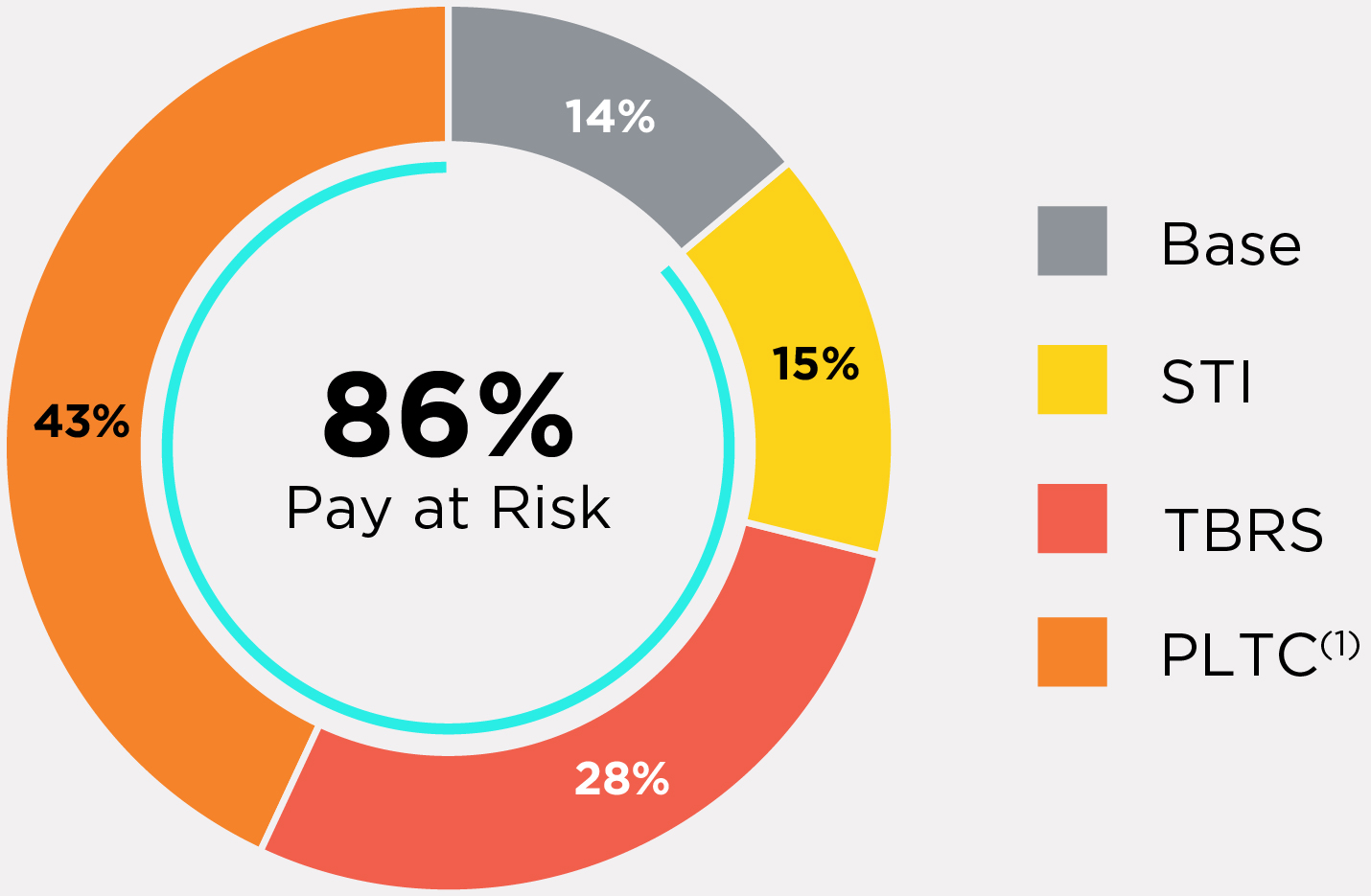 03 PRO013611_pie_pay mix copy_current NEOs.jpg