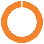 03 PRO013611_pie_LTI governance_cash-100.jpg