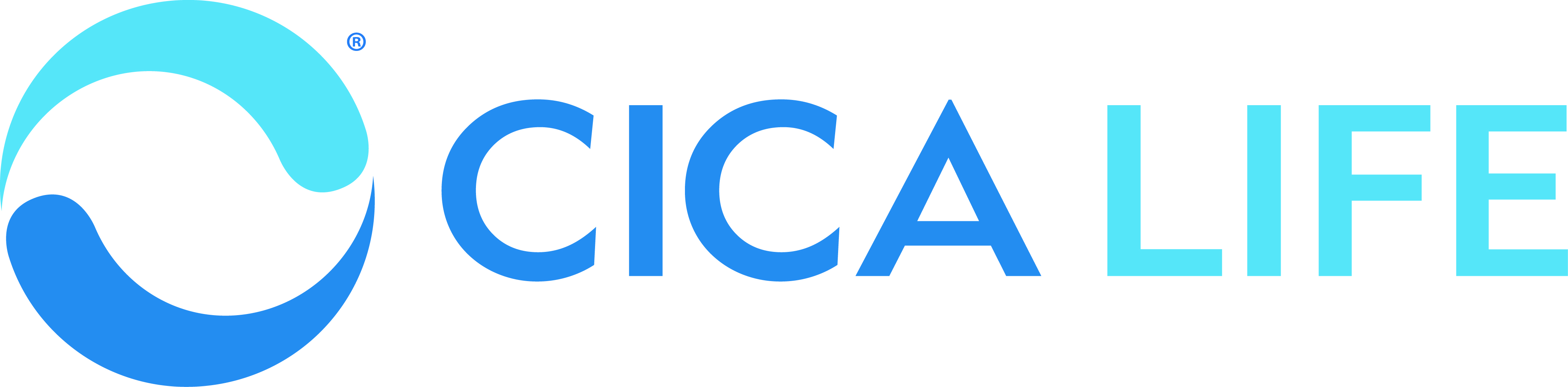 CICA LIFE - Primary.jpg