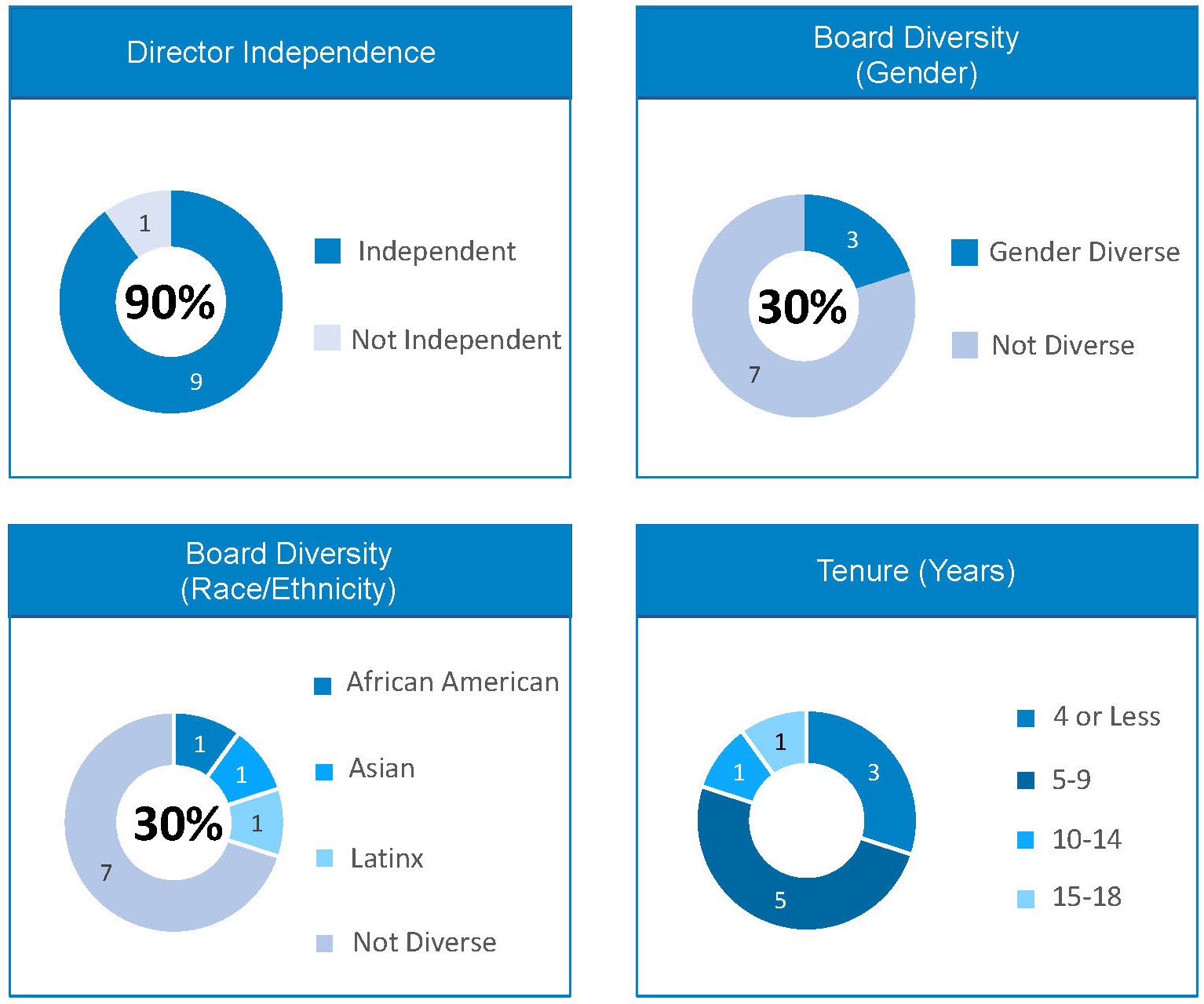 Director Dashboard - 2023 v2.jpg