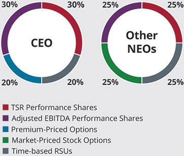 [MISSING IMAGE: pc_longterm-4c.jpg]