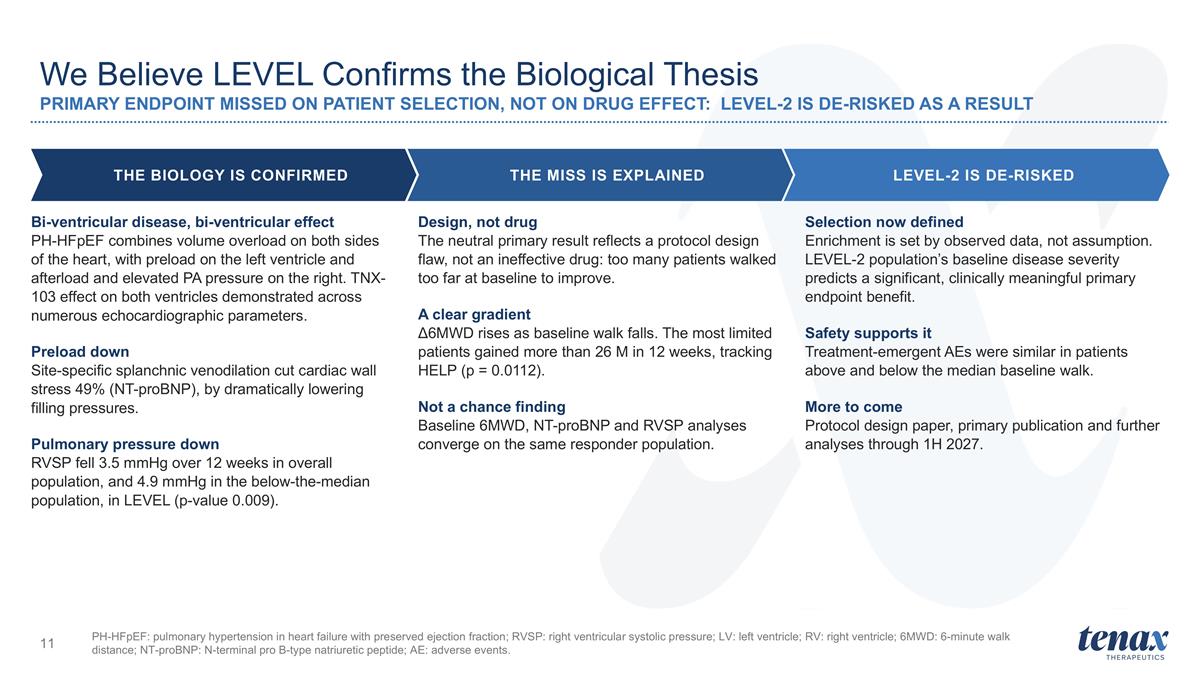 Slide 11