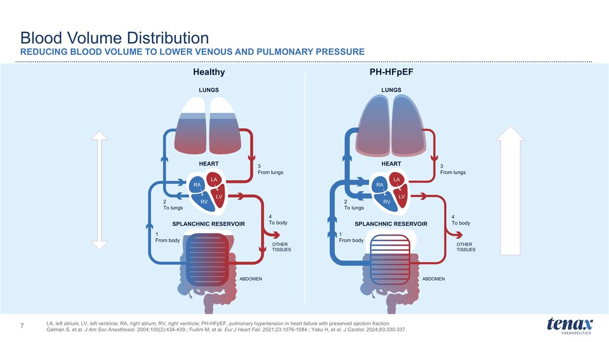 Slide 7