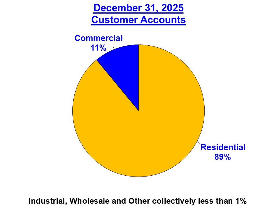 Customer Accounts 2025 10-K - Revised.jpg