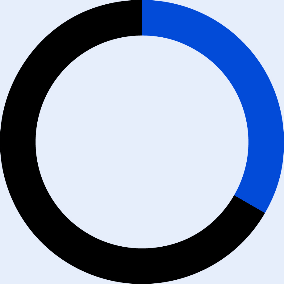 03 PRO013299_pie_annual director compensation-01.jpg