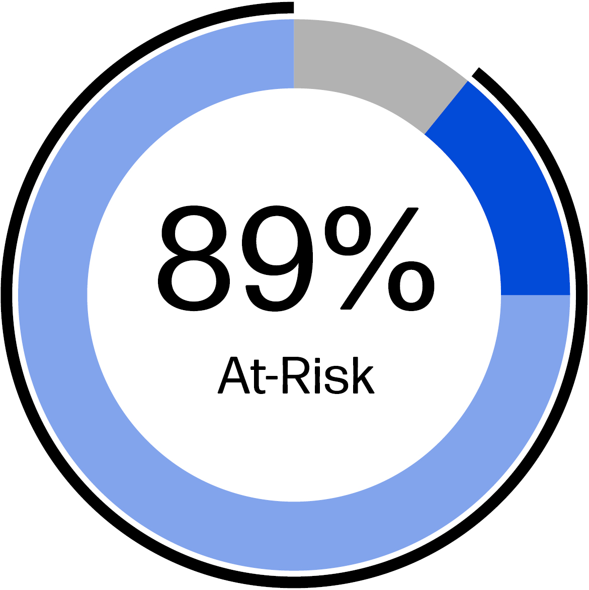 03 HPQ_pie_2024 NEO TDC_other neo.jpg