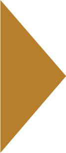 02_arrow_gold.jpg