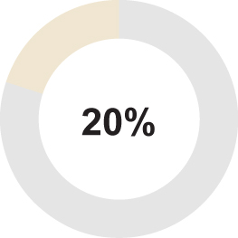 03_EGP_pie_achievement_aip_CEO_individualGoals.jpg