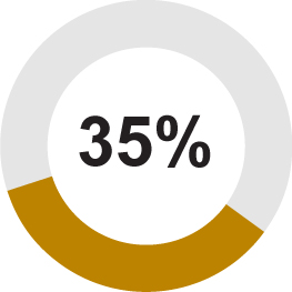 03_EGP_piechart_LTIP_2.jpg