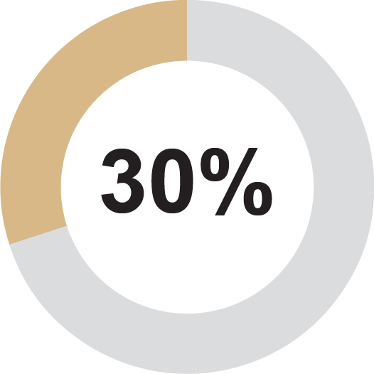 03_EGP_piechart_LTIP_3.jpg