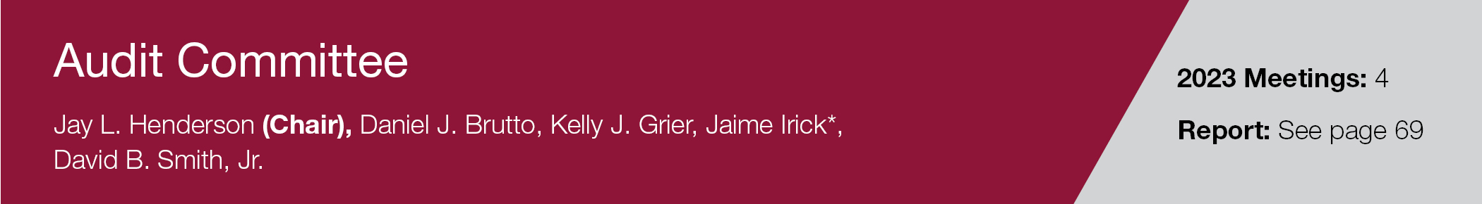 gfx_auditcommittee.jpg