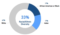 lgl-2025racialdiversity.jpg