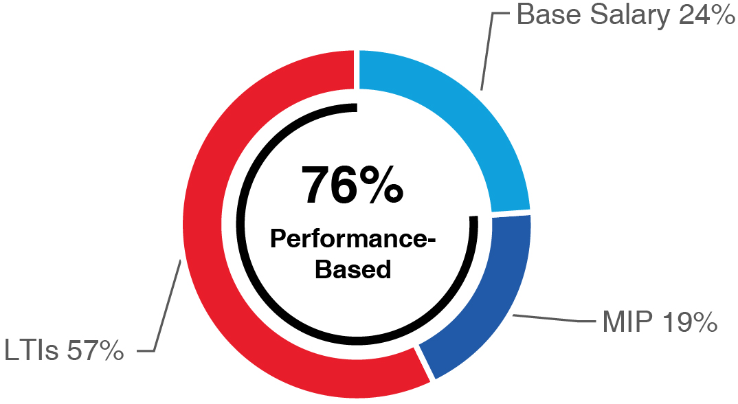 03_PRO013665_pie_Significant Portion_Other NEOs.jpg