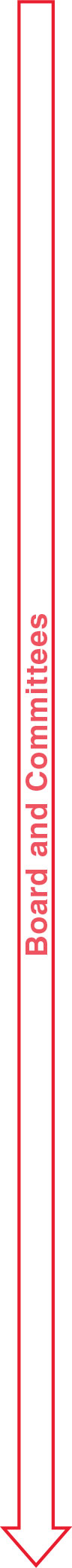 04_MAT_Corp Gov risk oversight_board_arrow.jpg