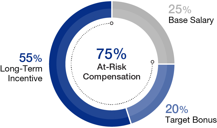 03 438519-1_pie_element of exec comp_market group.jpg