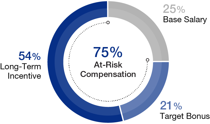03 438519-1_pie_element of exec comp_McCormick.jpg