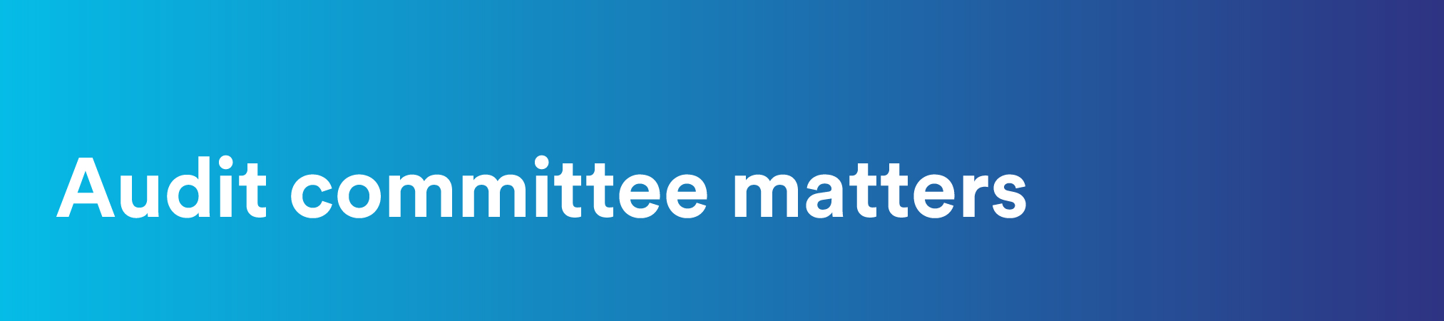 04 PRO013312_gfx_banner_audit.jpg