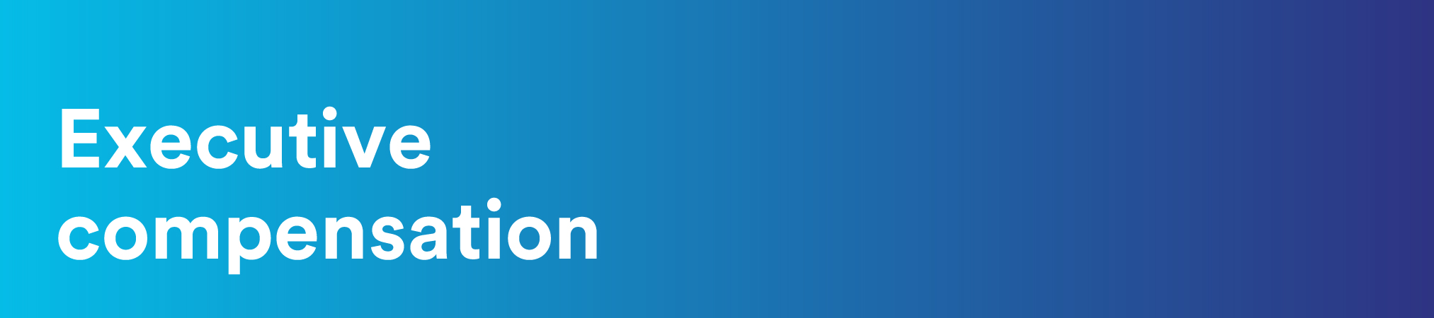 04 PRO013312_gfx_banner_executive.jpg