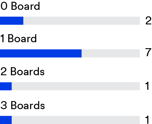 03_PRO013312_chart_Board Diversity_public company board.jpg