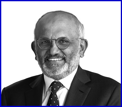 05_439182-3_photo_BOD Blue stroke_Narayen.jpg