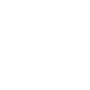 [MISSING IMAGE: tm2230517d1-icon_telephbw.gif]