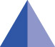 [MISSING IMAGE: tm2230517d1-icon_trianglepn.jpg]