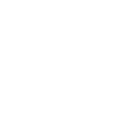 [MISSING IMAGE: tm2230517d1-icon_recordbw.gif]