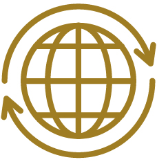 02_RGLD_Board Skills_International.jpg