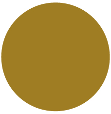 02_RGLD_Symbols_Circle Full.jpg