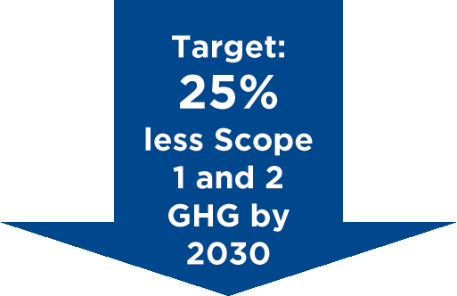 [MISSING IMAGE: ic_lowerarrghg2009-pn.gif]