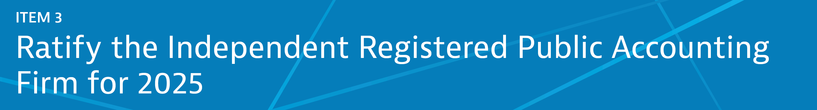 04 438571-3_gfx_items-banner-3.jpg