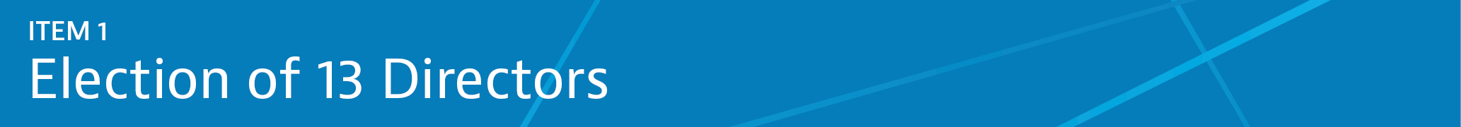 04 438571-3_gfx items banner_item 1.jpg