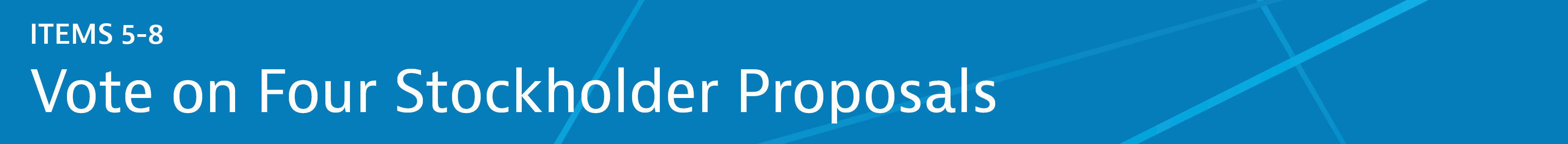 04 438571-3_gfx_items-banner-5.jpg