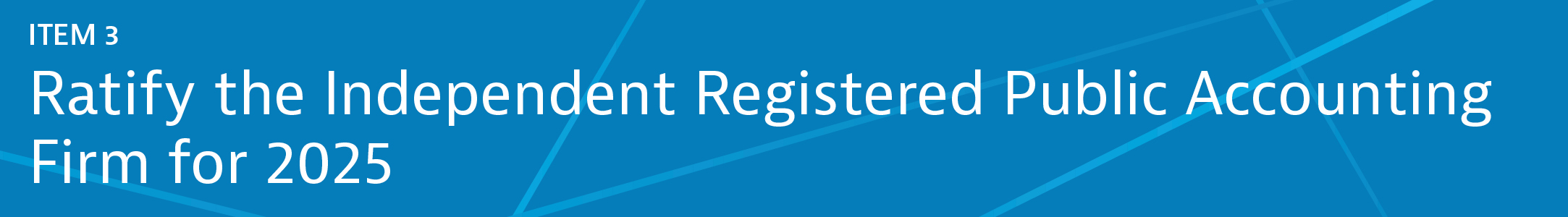 04 438571-3_gfx_items-banner_item3.jpg