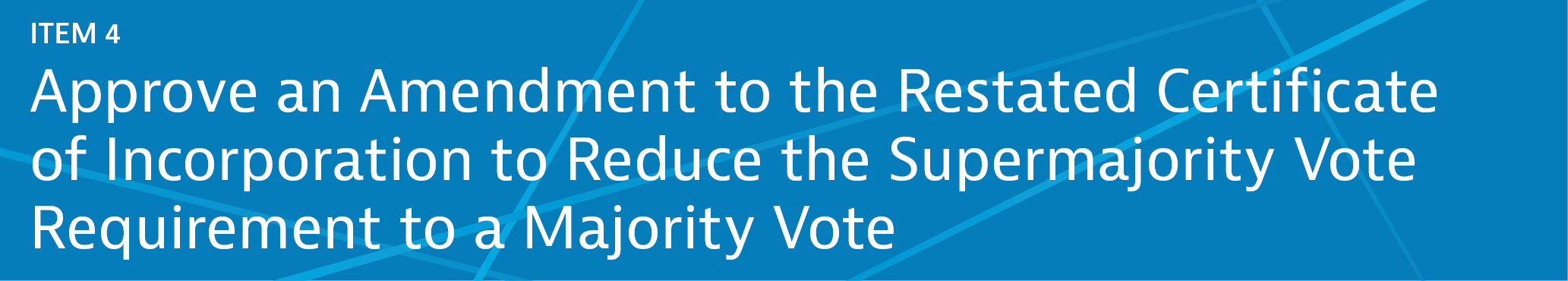 04 438571-3_gfx items banner_item 4.jpg