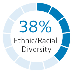 03_427414-3_pie_Ethnic Racial Diversity.jpg