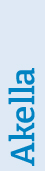 04_438571-1_gfx_BOD_verticalname_akella.jpg