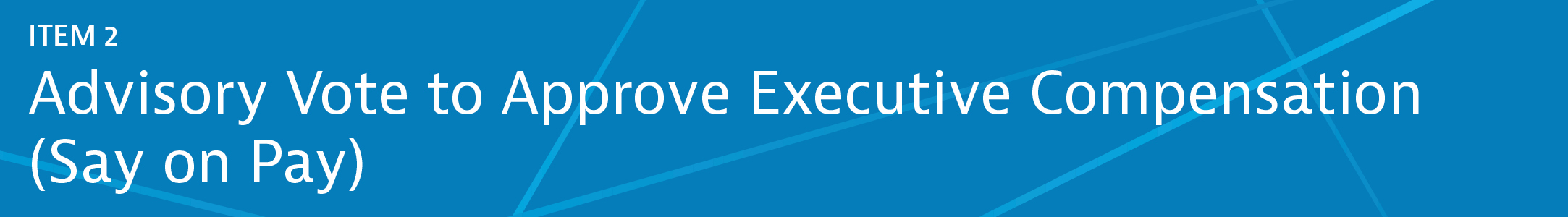 04 438571-3_gfx_items-banner_item2.jpg