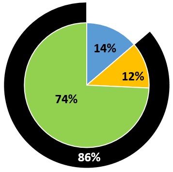 CEO pay mix green.jpg