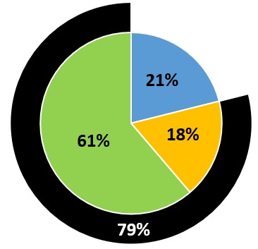 other NEO pay mix green.jpg