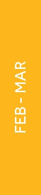img206643913_223.jpg