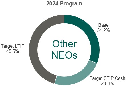 Target Compensation Pie Chart - Other NEOs.jpg